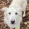 Knut sucht seinen Deckel/ in 82284