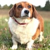 Johnny  ein kleiner Zwerg mit ganz viel Herz.