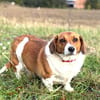 Johnny  ein kleiner Zwerg mit ganz viel Herz.