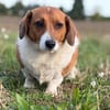 Johnny  ein kleiner Zwerg mit ganz viel Herz.
