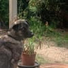 Lebensfrohe Lucy