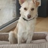 🐾❤ MUKI (ehemals Aladin) SUCHT SEINE MENSCHEN! ❤🐾
