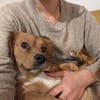 Minnie sucht ihr Für-immer-Zuhause