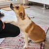 Deliah sucht ihre Familie