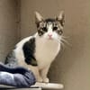 Charlie sucht ein geduldiges Zuhause