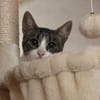 Charlie sucht ein geduldiges Zuhause