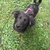 Hundekind sucht Bestplatz