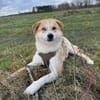 Besonderer Lucky sucht seine Familie