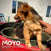 Moyo  ein kleiner strahlender Sonnenschein