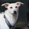 Skipper möchte endlich ankommen ...