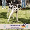 Klara - sucht Dich für ihre Abenteuer
