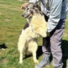 Vaiana unser Sonnenschein