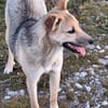Nikita, eine tiefgründige Seele