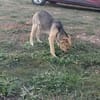 Nikita, eine tiefgründige Seele