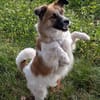 lieber hübscher Küschelbär Lex auf PS in 91207