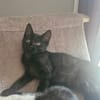 Bellinda