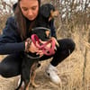 Colton -Kleiner Herzenshund sucht endlich sein Glück!