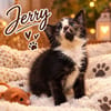 ***BEN und JERRY!***