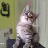 BOB (a trouvé sa famille)