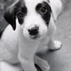 BILLY