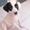 BILLY
