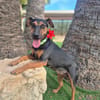 LOLA (Martina)