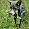 Salome sucht ihre Familie ❤