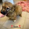 Isidor  ein kleiner Bub, der die Welt noch vor sich hat
