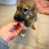 Isidor  ein kleiner Bub, der die Welt noch vor sich hat