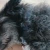 🐾Lebensfrohe Kira sucht Dich🐾 NOTFALL