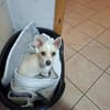 Lotte - sie ist sehr menschbezogen