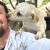 Quirin-freundlich und lieb