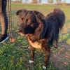 🍀 Afrodita wartet auf ihre Menschen 🐾