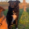 🍀 Afrodita wartet auf ihre Menschen 🐾