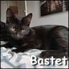 Bastet