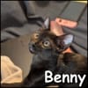 Benny
