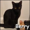 Berry