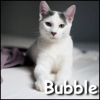 Bubble