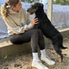 Merlin (Mendel) -Junger Hundebub sucht ein tolles Zuhause