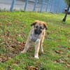 Cash sucht seine Familie