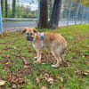 Cash sucht seine Familie