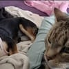 Süße Keisy🌺 sucht liebevolles Zuhause