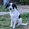 Kayleigh, jung, verspielt, es fehlt nur ihre eigene Familie