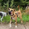 GINA liebt die Menschen PLZ 64807