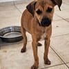 Kleine Entdeckerin Molly
