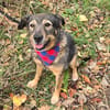 Freundlicher,lieber Bruno