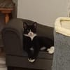 Pirat Loo sucht passendes Plätzchen