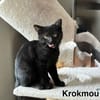 KROKMOU
