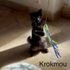 KROKMOU