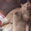 Gemeinsames Zuhause für LOUIS & LINO